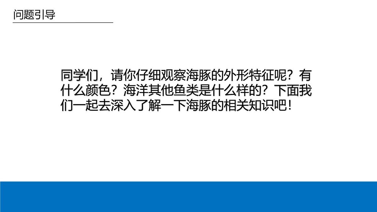 学前教育大班《海豚的朋友》课件第7页