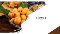 学前教育大班《枇杷》课件