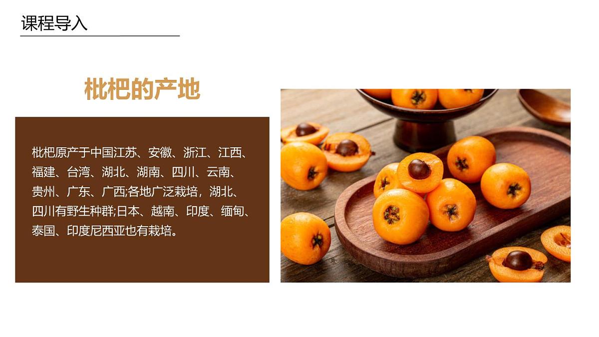 学前教育大班《枇杷》课件第6页