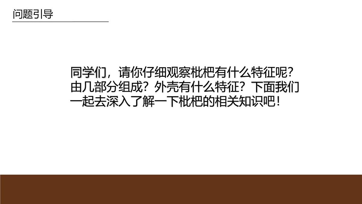 学前教育大班《枇杷》课件第7页