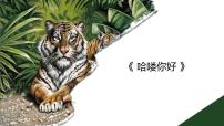 学前教育大班《哈喽你好》课件