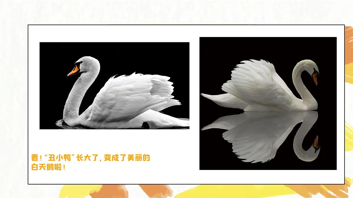 学前教育大班《丑小鸭》课件第7页