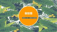 学前教育大班《食蚁兽》课件