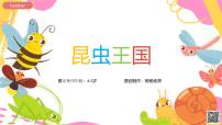 学前教育大班《昆虫王国》课件