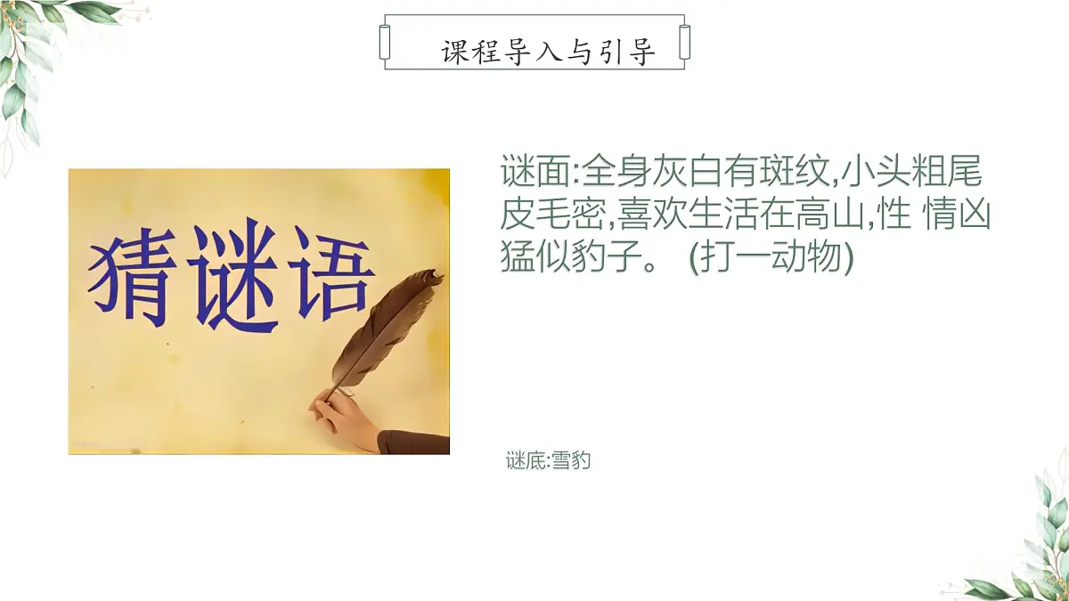 学前教育大班《美丽的雪豹》课件第8页