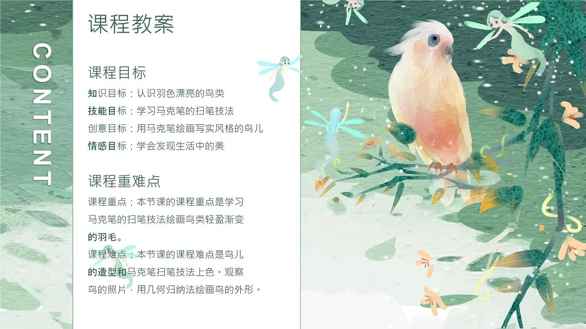 学前教育大班《鸟儿》课件第2页
