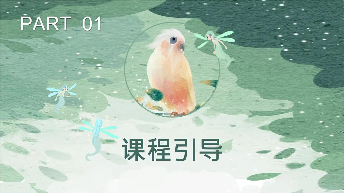 学前教育大班《鸟儿》课件第4页