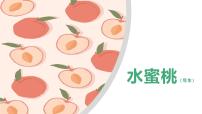 学前教育大班《桃子》2》课件