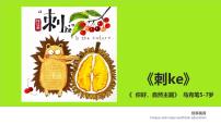 学前教育大班《刺ke》课件