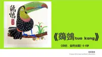 学前教育大班《巨嘴鸟》课件
