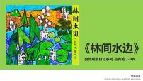 学前教育大班《林间水边》课件
