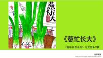 学前教育大班《葱忙长大》课件