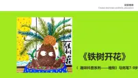 学前教育大班《铁树开花》课件