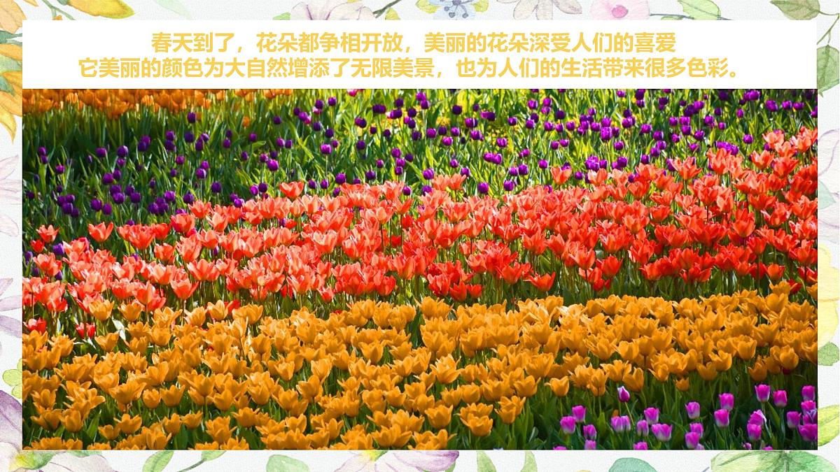 学前教育大班《一起躲猫猫》课件第4页