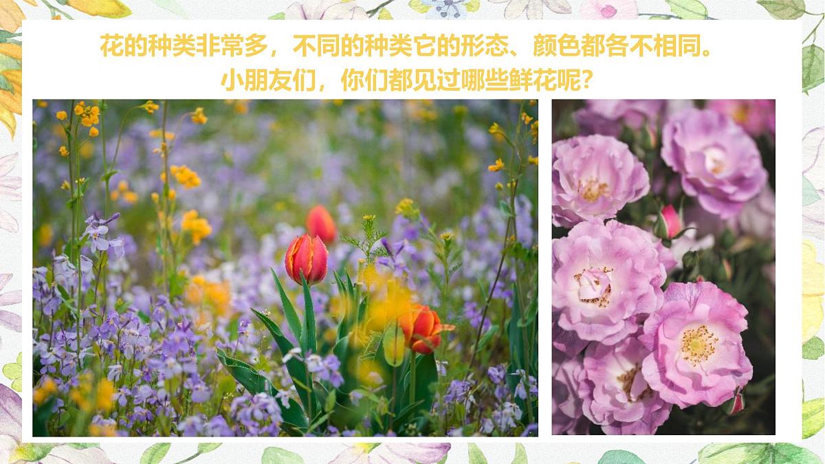 学前教育大班《一起躲猫猫》课件第5页
