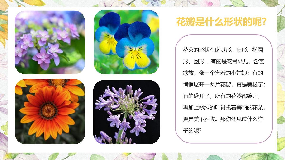 学前教育大班《一起躲猫猫》课件第7页