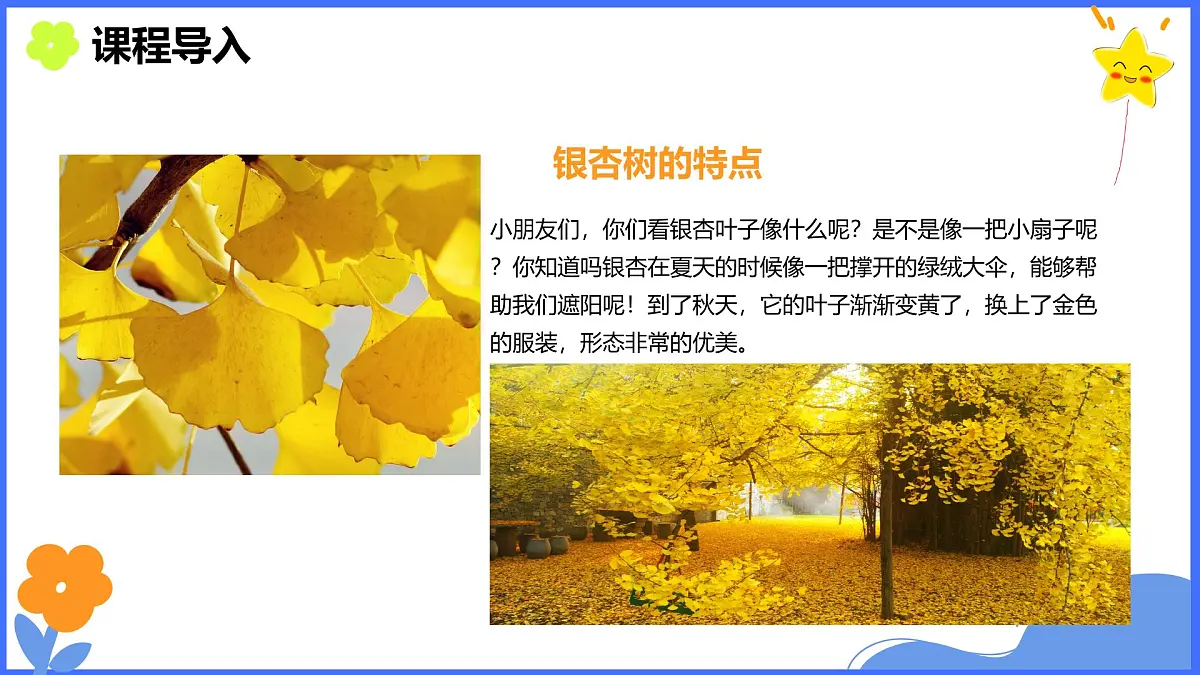 学前教育大班《银杏叶》课件第6页