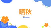 学前教育大班《晒秋》课件