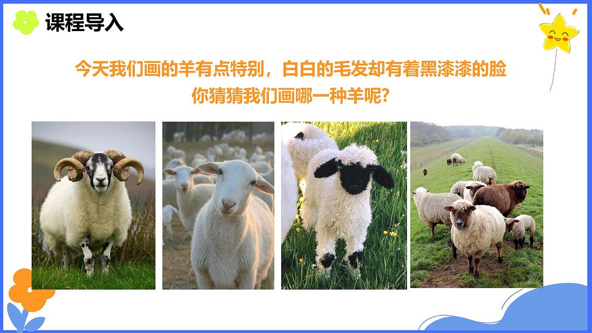 学前教育大班《可爱的黑鼻羊》课件第4页