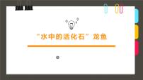 学前教育大班《“水中的活化石”龙鱼》课件