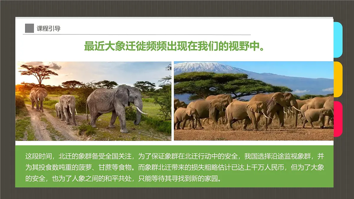 学前教育大班《迁徙的大象》课件第4页