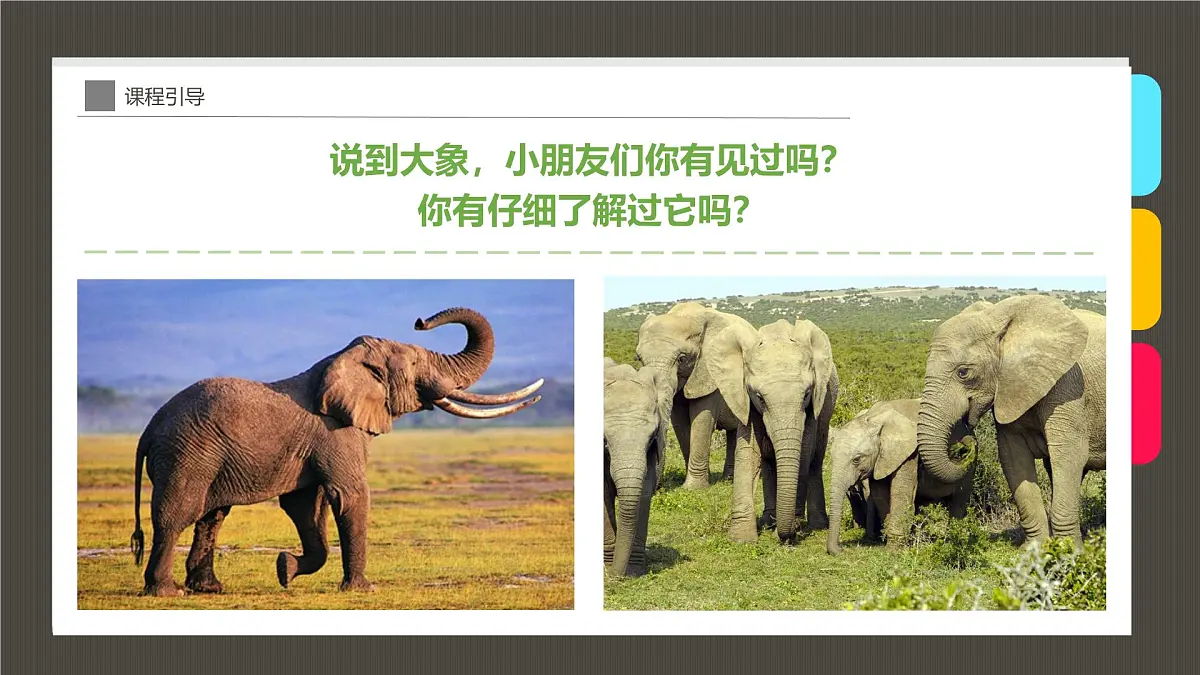 学前教育大班《迁徙的大象》课件第5页
