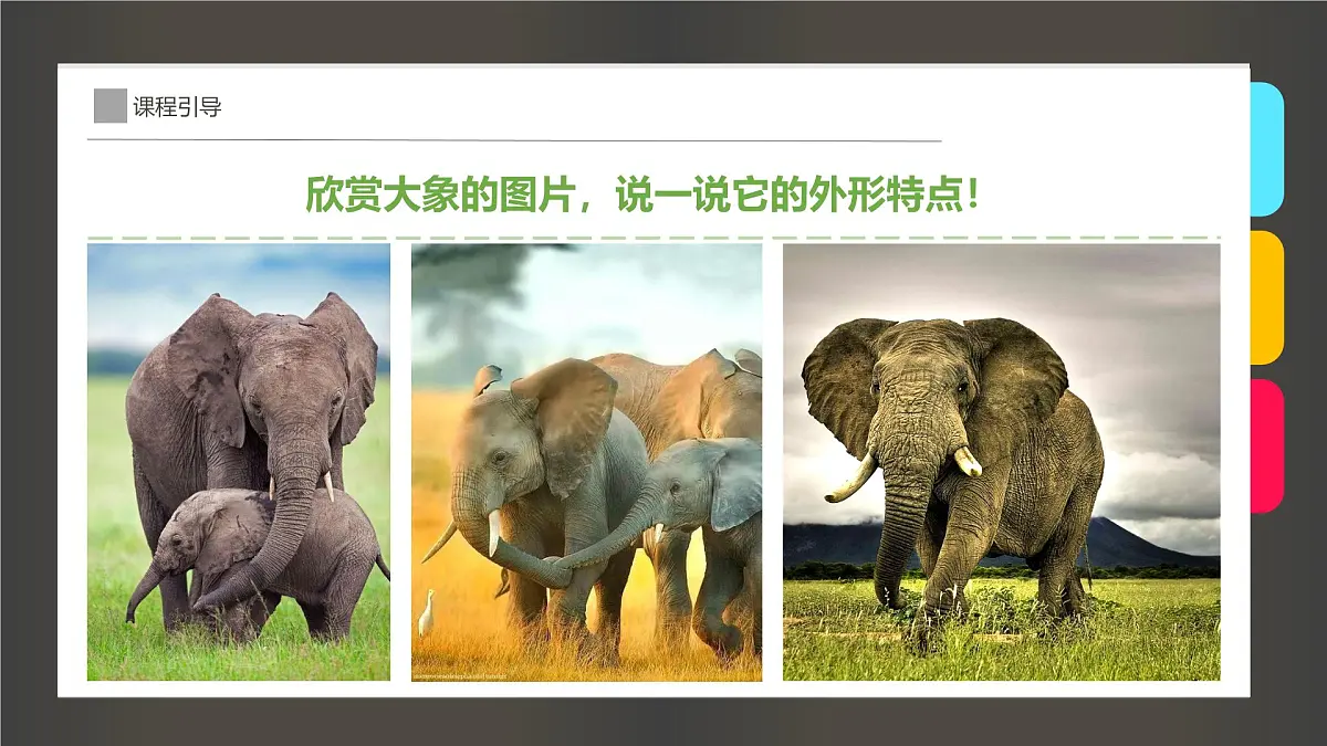 学前教育大班《迁徙的大象》课件第6页