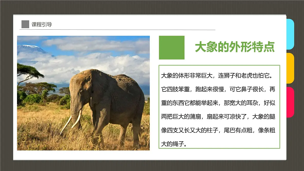 学前教育大班《迁徙的大象》课件第8页