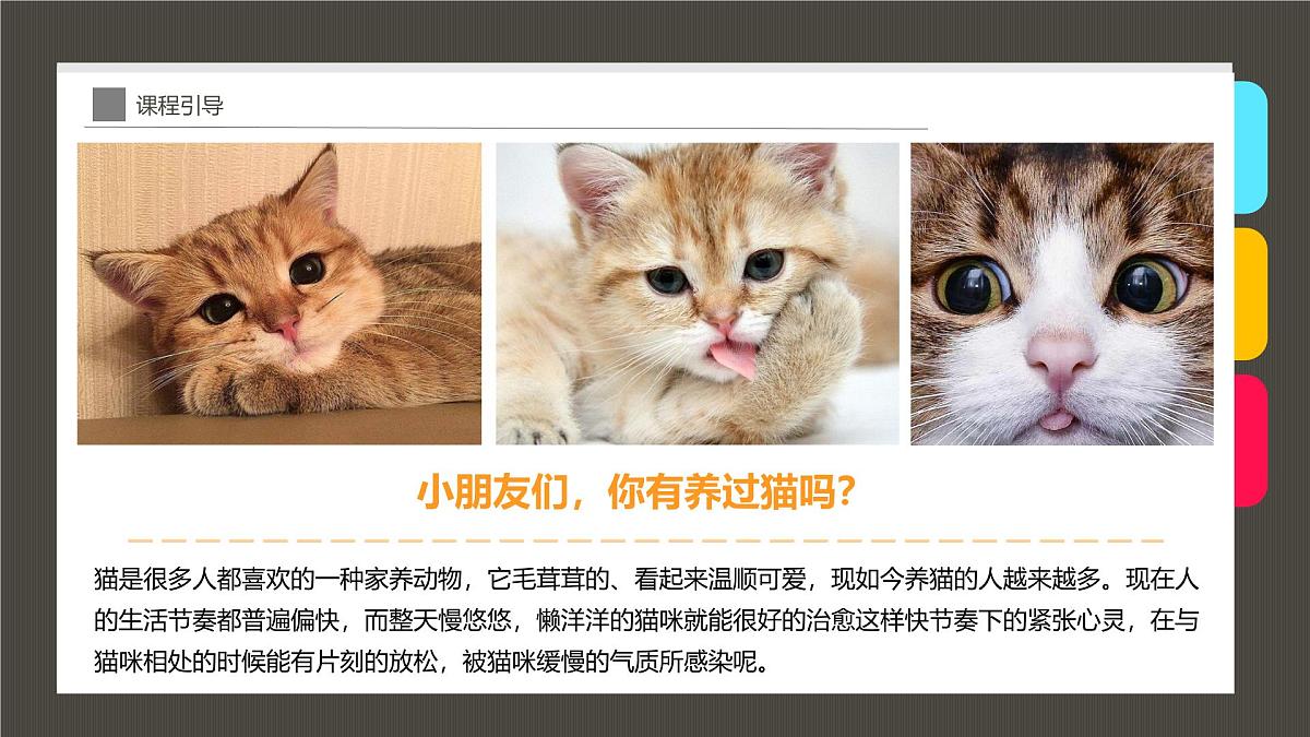 学前教育大班《茶杯里的小猫咪》课件第4页