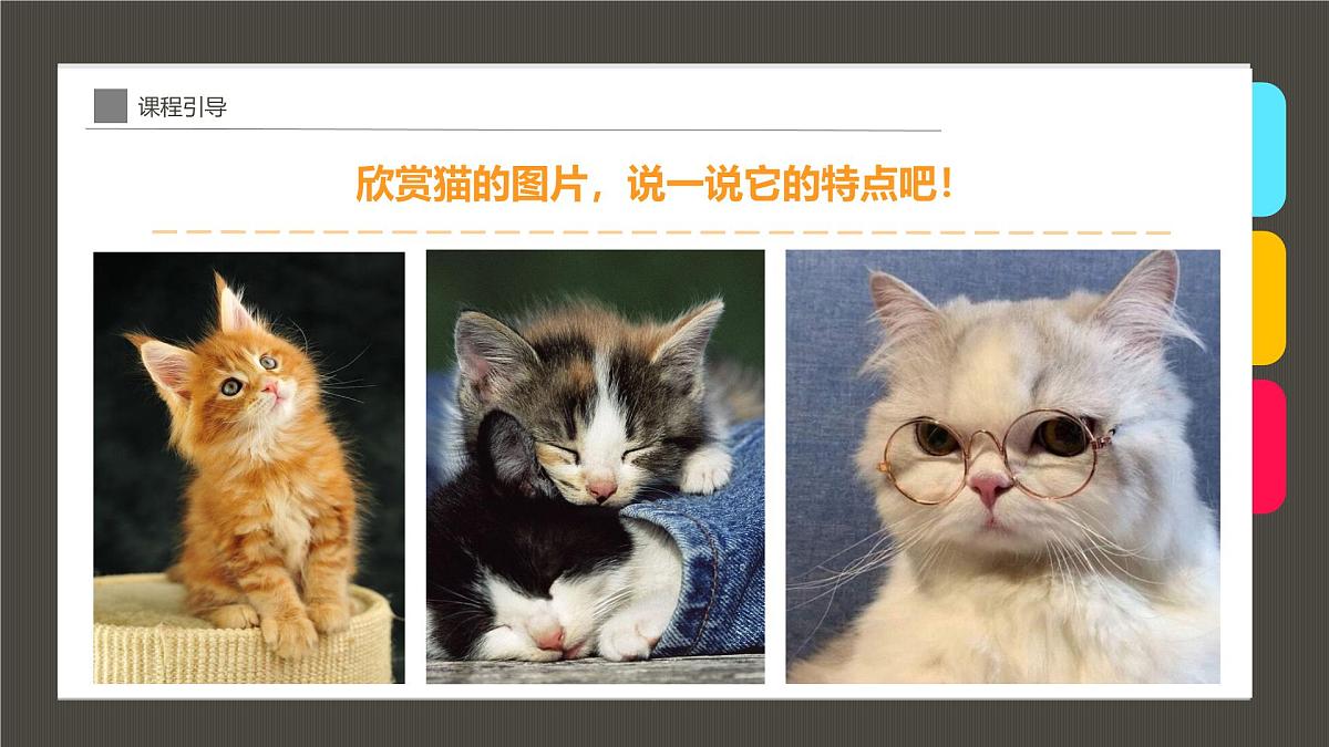 学前教育大班《茶杯里的小猫咪》课件第5页
