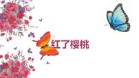学前教育大班《红了樱桃》课件