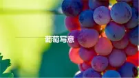 学前教育大班《葡萄》课件