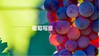 学前教育大班《葡萄》课件