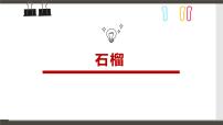 学前教育大班《石榴》课件