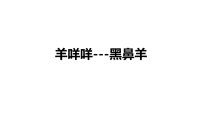 学前教育大班《羊咩咩》课件