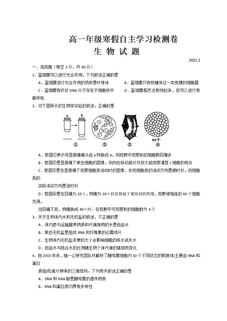山西省运城市芮城中学2021-2022学年高一下学期开学摸底考试生物试题无答案01