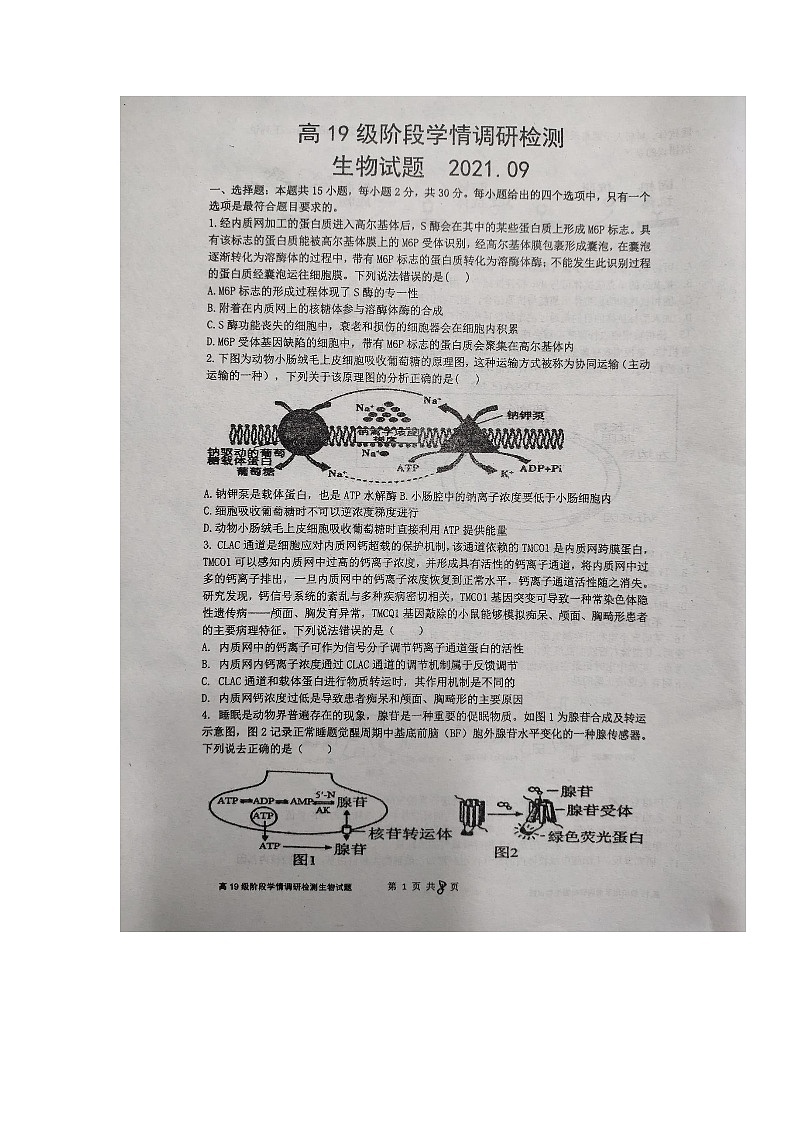 2022临沂临沭一中高三上学期9月开学检测生物试题扫描版含答案第1页
