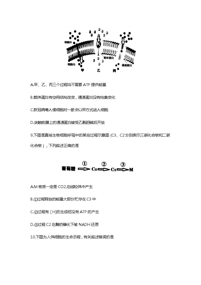 2022浙江省名校协作体高三上学期开学联考生物试题含答案03