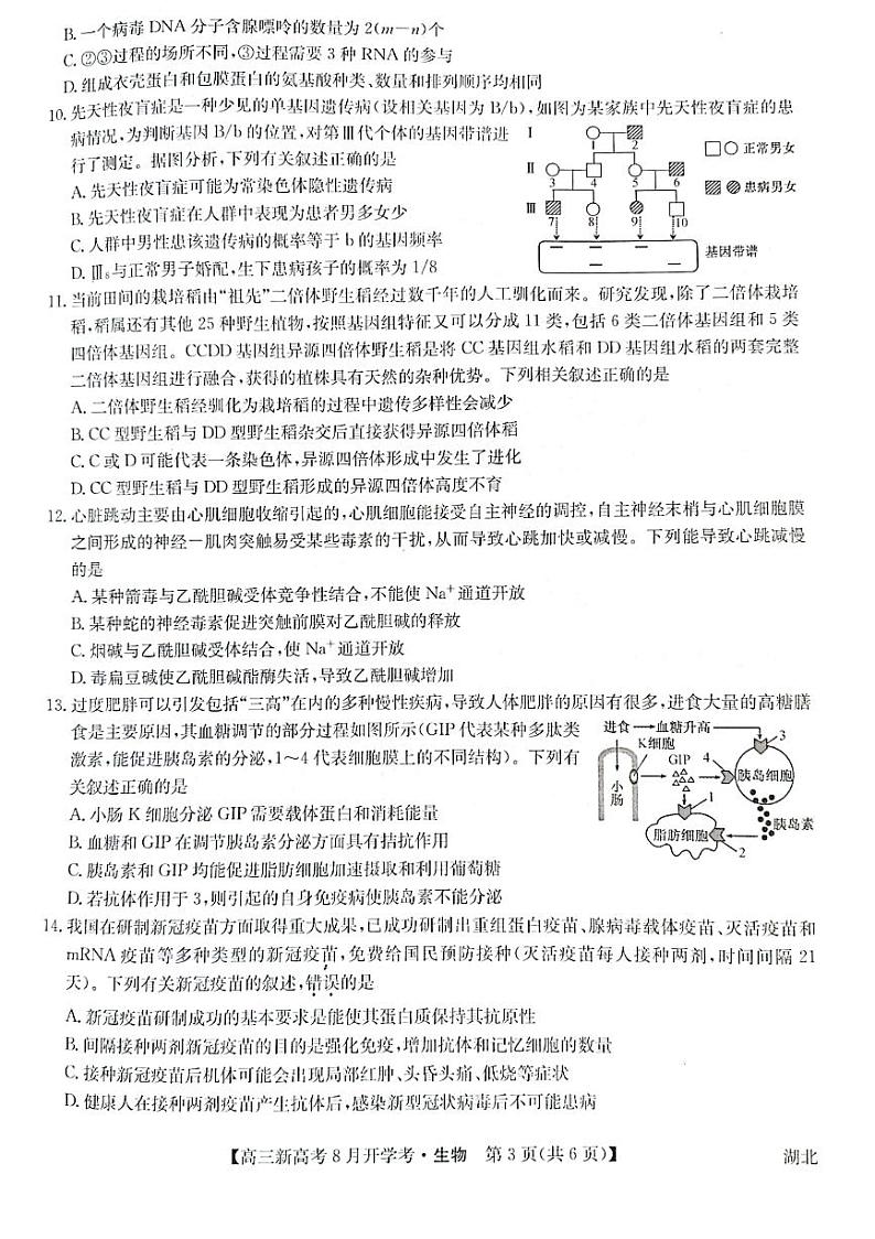 生物第3页