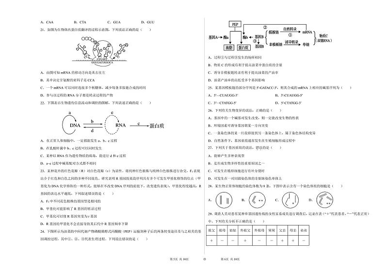 2022省大庆中学高二上学期开学考试生物试题PDF版含答案第3页