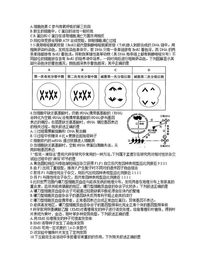 2021无锡高三下学期开学教学质量检测生物试题含答案第2页