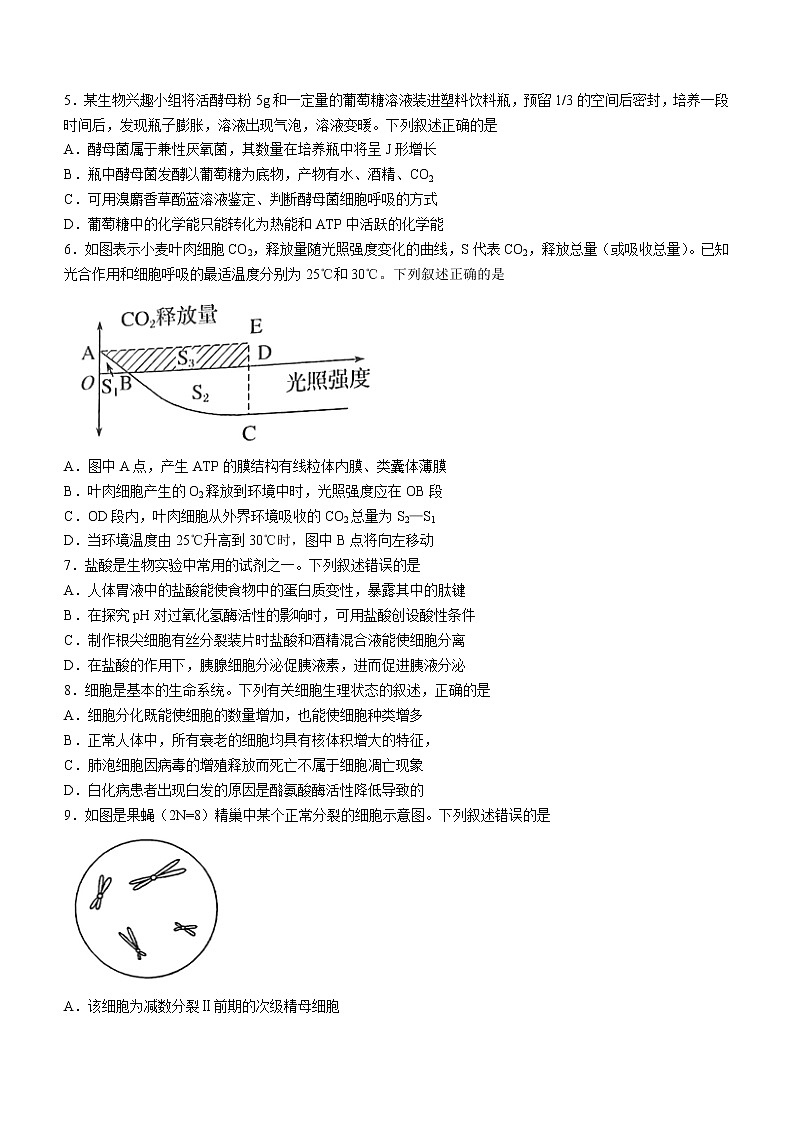 2023安徽省皖江名校联盟高三上学期开学考试生物含解析02