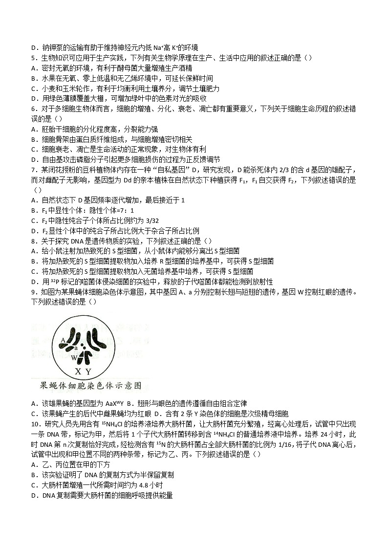 2023安徽省A10联盟高三上学期开学考试生物含解析第2页