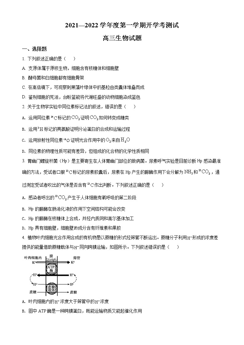 精品解析:山东省临沂市兰山区2021-2022学年高三上学期开学考试生物试题(原卷版)第1页