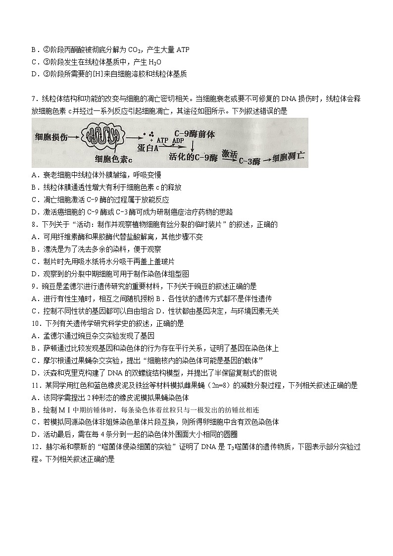 2023浙江省名校协作体高三上学期开学考试生物无答案02