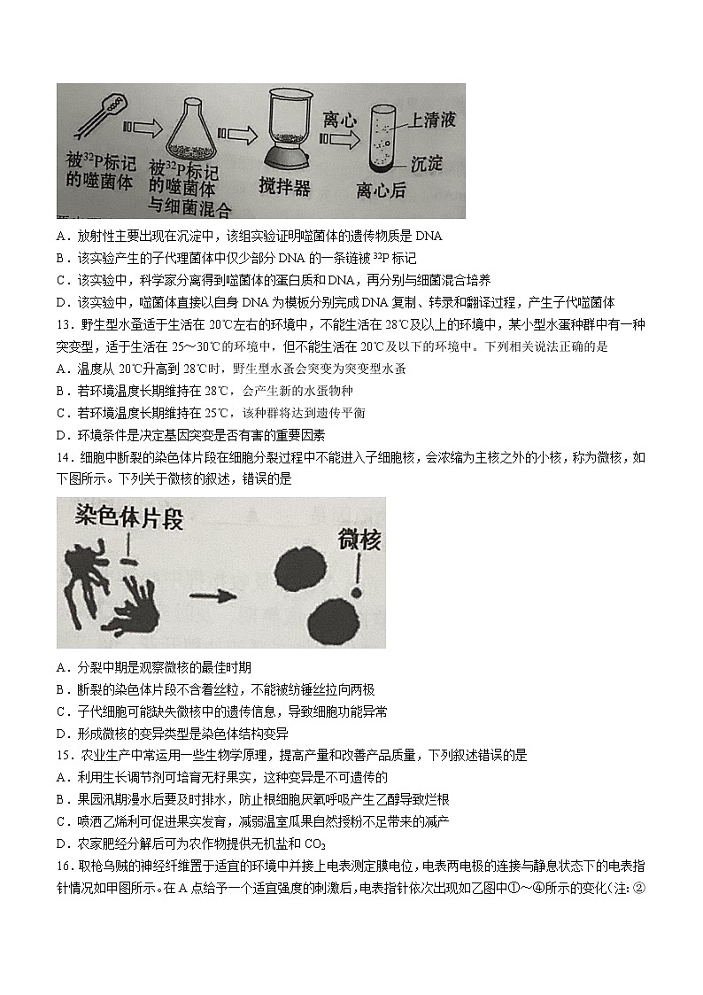 2023浙江省名校协作体高三上学期开学考试生物无答案03