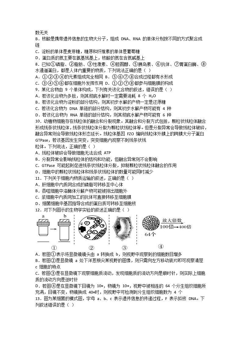 2023省鹤岗一中高三上学期开学考试生物含解析第2页