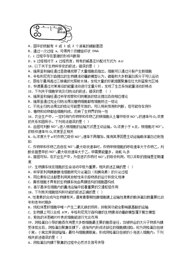 2023省鹤岗一中高三上学期开学考试生物含解析第3页