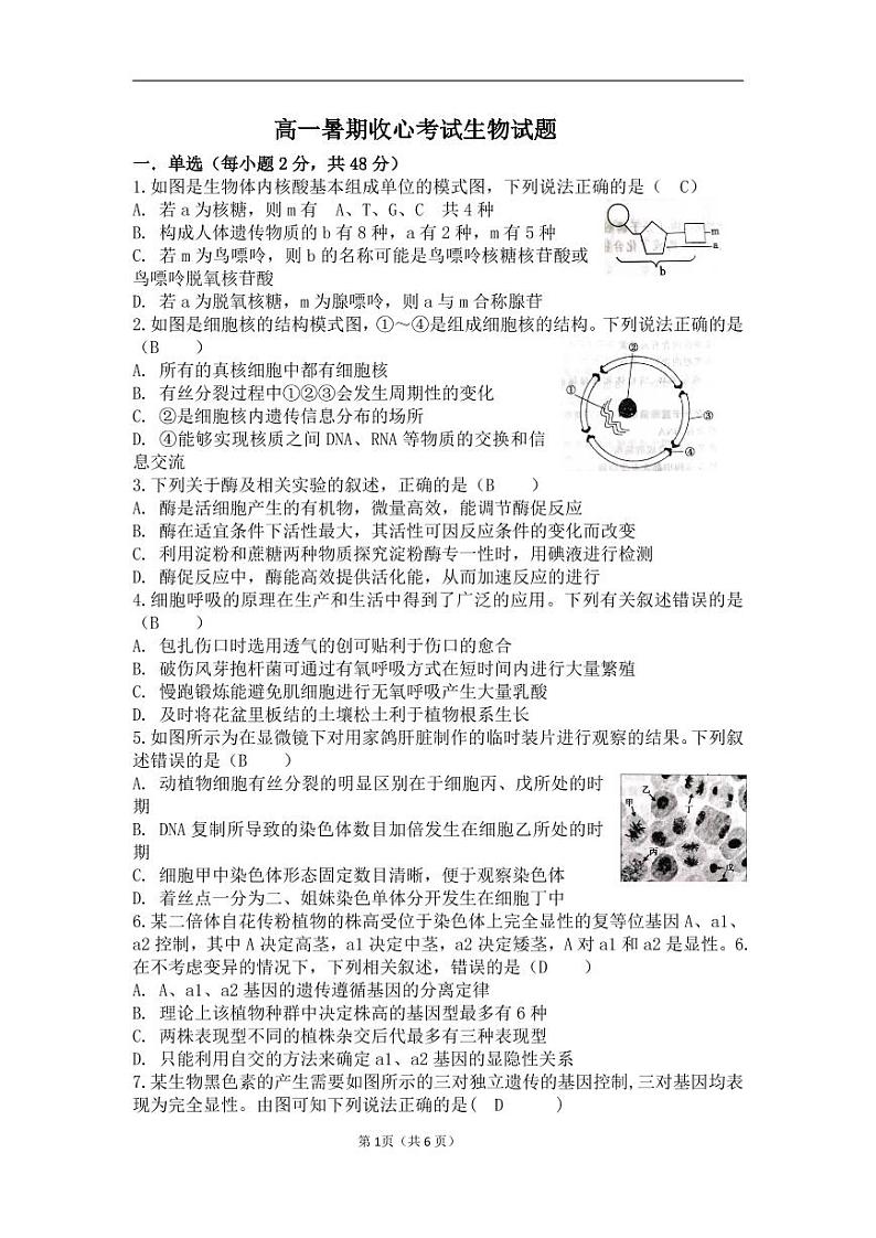 高一生物暑期收心考试试题第1页