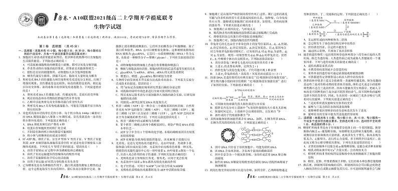 1号卷·A10联盟2021级高二上学期开学摸底联考生物试题PDF版无答案第1页